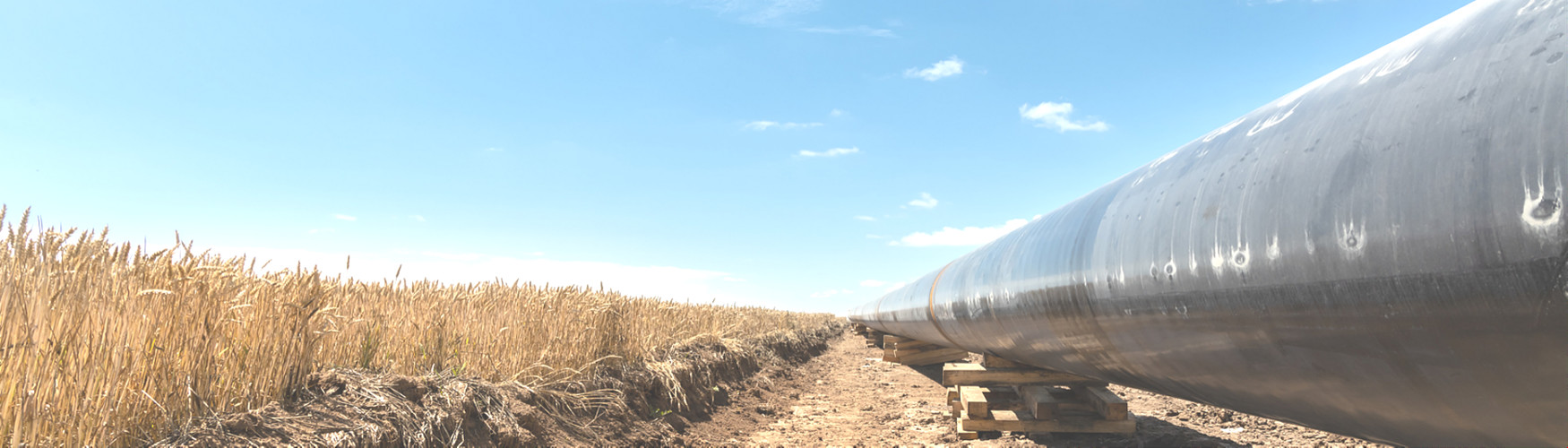 qualité Ruban adhésif de pétrole usine